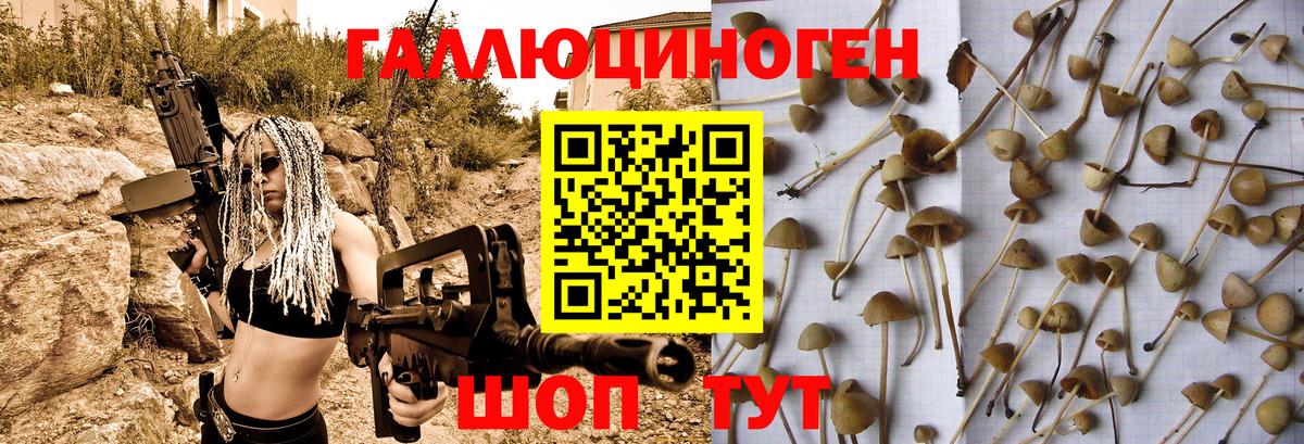 Галлюциногенные грибы Magic Shrooms  Видное 