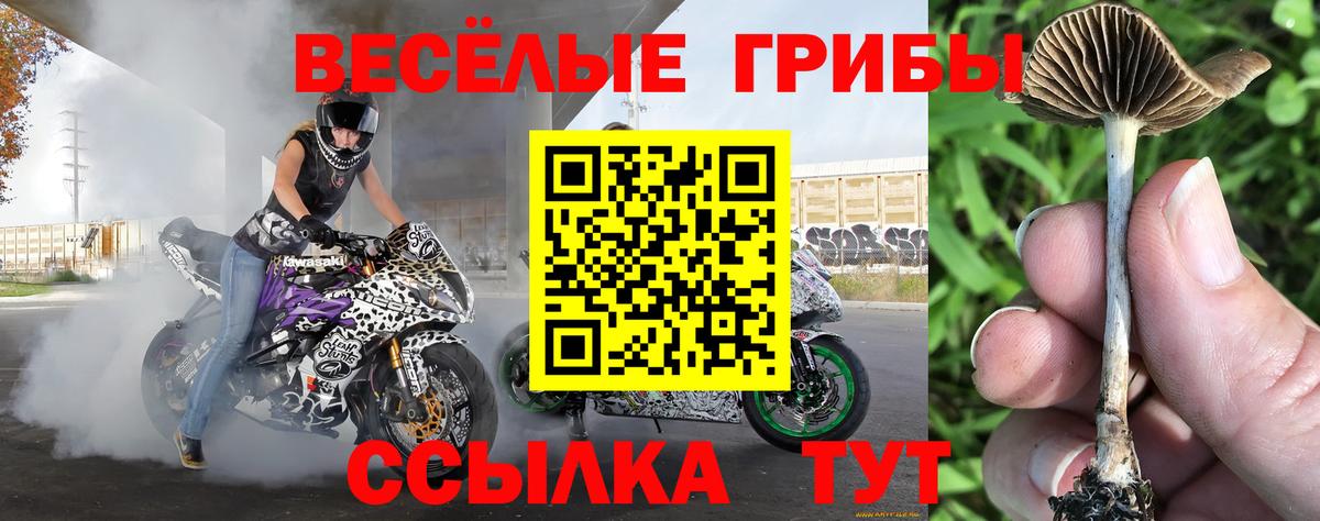Псилоцибиновые грибы прущие грибы  Вход с VPN  Видное 